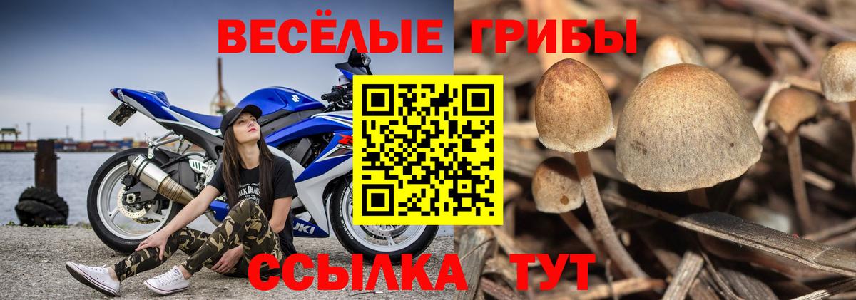 Таганрог  Галлюциногенные грибы ЛСД  магазин продажи наркотиков  Вход с VPN 